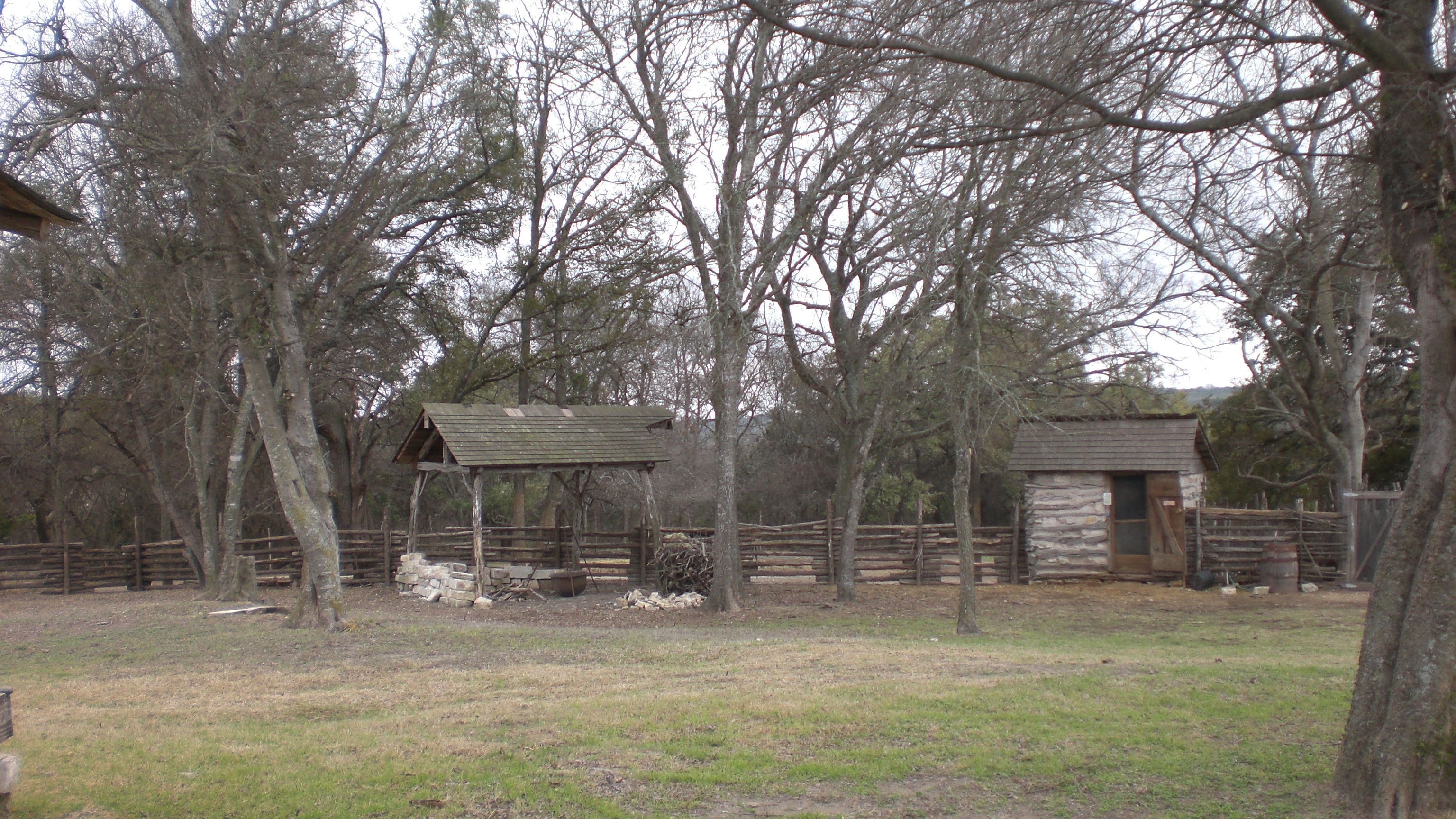 Pioneer_Farms/dogtrot_chicken.JPG